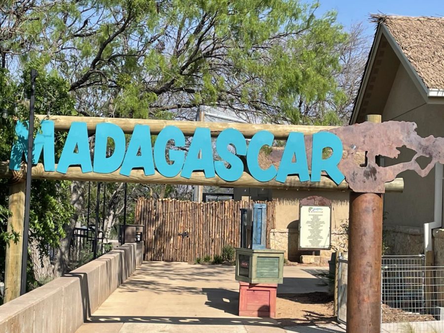 Abilene Zoo Opens New Madagascar Exhibit