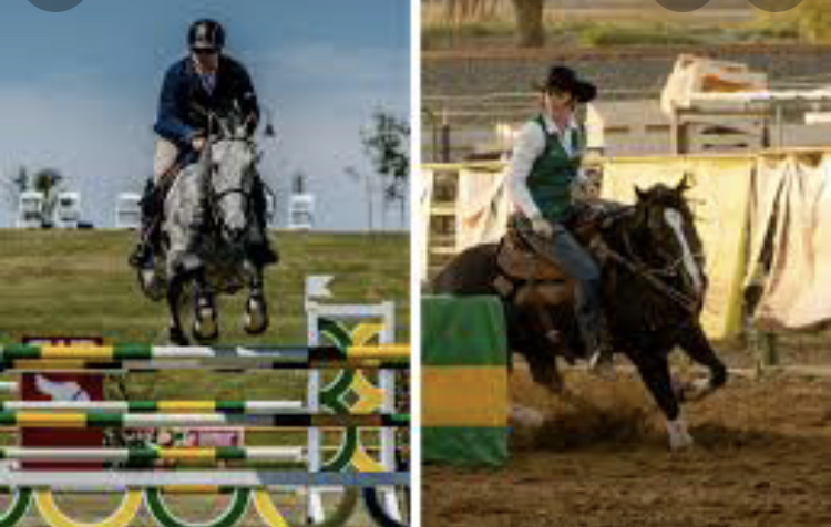 Why is Horseback Riding a Sport?