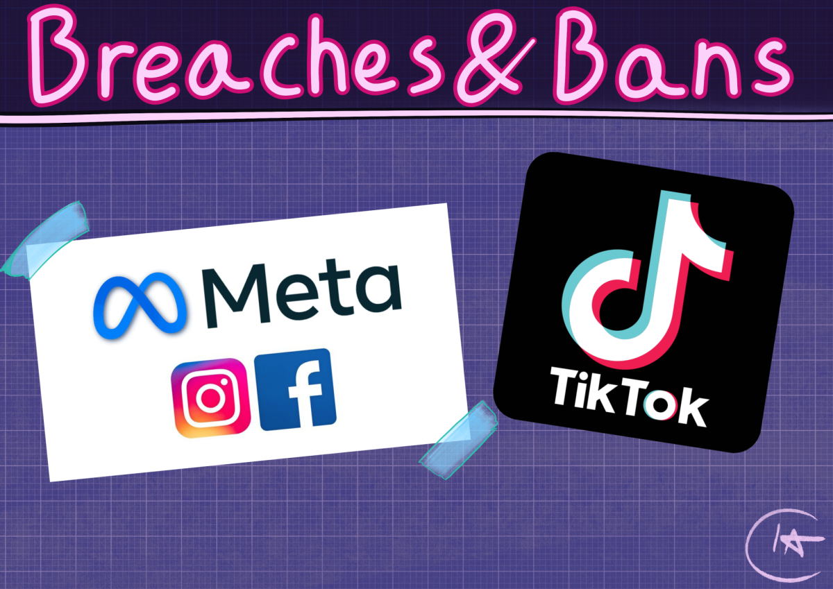 Social Media Breaches and Bans