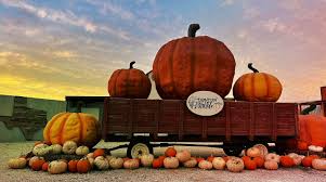Fun Fall Activities in Abilene